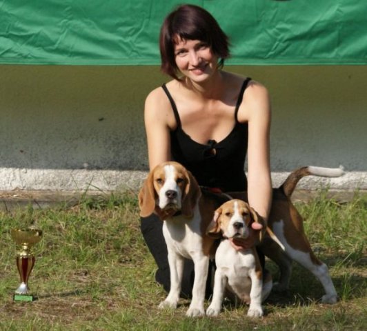 zielona gra - jamajka - klasa szczenit - w.o. best puppy i bis puppy2